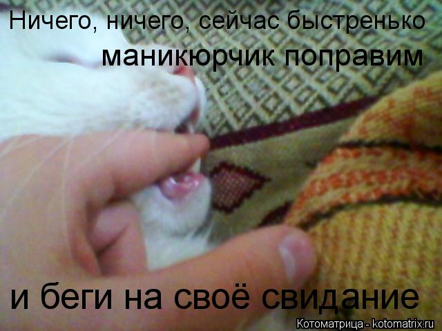 и беги на своё свидание маникюрчик поправим Ничего, ничего, сейчас быстренько... Котоматрица: и беги на своё свидание маникюрчик поправим Ничего, ничего, сейчас быстренько