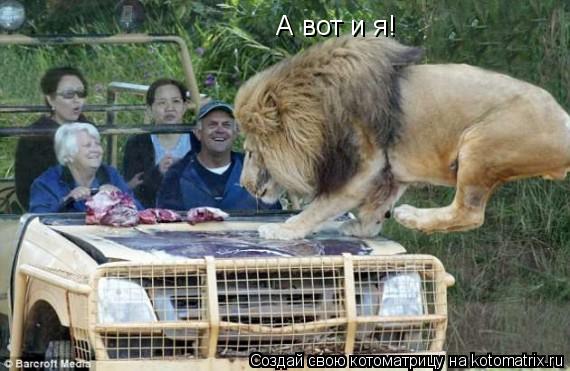 А вот и я!... Котоматрица: А вот и я!