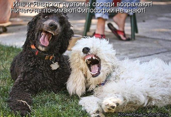Инь и Яньпоют дуэтом,а соседи возражают! Ничего не понимают!Философии не знают!... Котоматрица: Инь и Яньпоют дуэтом,а соседи возражают! Ничего не понимают!Философии не знают!