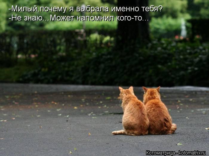 -Милый,почему я выбрала именно тебя? - -Не знаю...Может напомнил кого-то...... Котоматрица: -Милый,почему я выбрала именно тебя? - -Не знаю...Может напомнил кого-то...