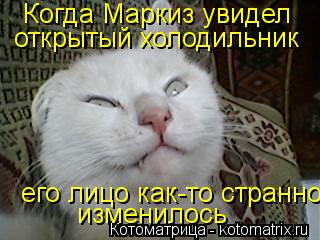 Когда Маркиз увидел открытый холодильник его лицо как-то странно изменилось... Котоматрица: Когда Маркиз увидел открытый холодильник его лицо как-то странно изменилось
