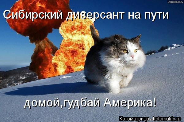 Сибирский диверсант на пути домой,гудбай Америка!... Котоматрица: Сибирский диверсант на пути домой,гудбай Америка!