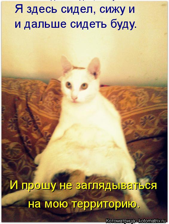 Я здесь сидел, сижу и Я здесь сидел, сижу и и дальше сидеть буду. И прошу не заглядываться на мою т... Котоматрица: Я здесь сидел, сижу и Я здесь сидел, сижу и и дальше сидеть буду. И прошу не заглядываться на мою территорию.