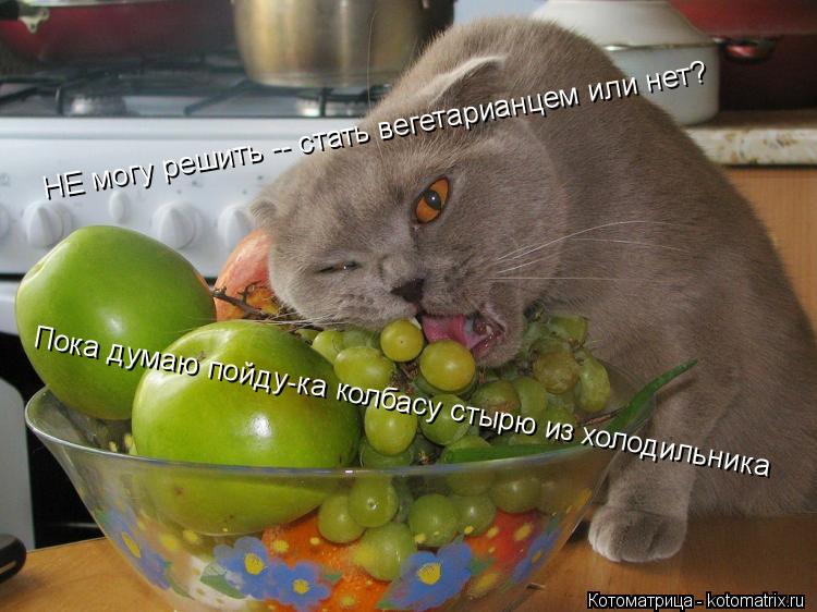 НЕ могу решить -- стать вегетарианцем или нет? НЕ могу решить -- стать вегетарианцем или нет? Пока ду... Котоматрица: НЕ могу решить -- стать вегетарианцем или нет? НЕ могу решить -- стать вегетарианцем или нет? Пока думаю пойду-ка колбасу стырю из холодильник