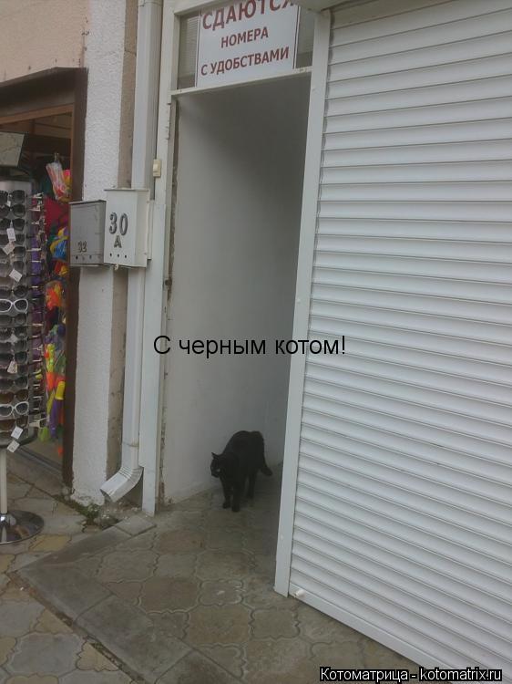 С черным котом!... Котоматрица: С черным котом!