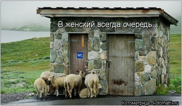 В женский всегда очередь........ Котоматрица: В женский всегда очередь.....