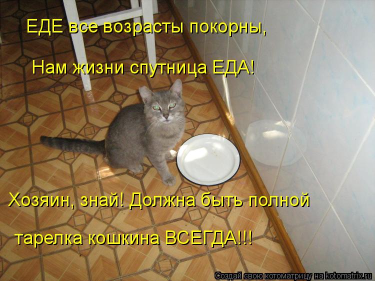 ЕДЕ все возрасты покорны, Хозяин, знай! Должна быть полной тарелка кошкина ВСЕГДА!!! Нам жизни спут... Котоматрица: ЕДЕ все возрасты покорны, Хозяин, знай! Должна быть полной тарелка кошкина ВСЕГДА!!! Нам жизни спутница ЕДА!