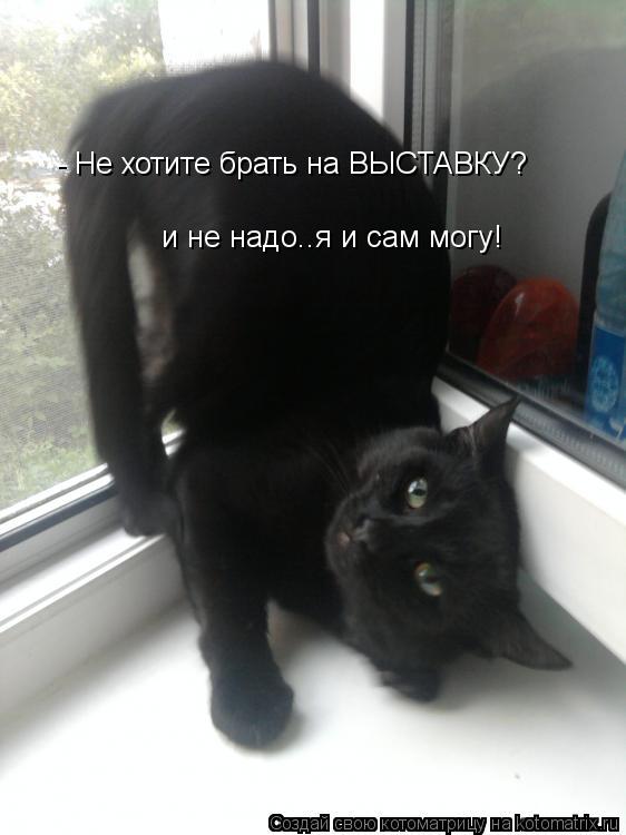 - Не хотите брать на ВЫСТАВКУ? и не надо..я и сам могу!... Котоматрица: - Не хотите брать на ВЫСТАВКУ? и не надо..я и сам могу!