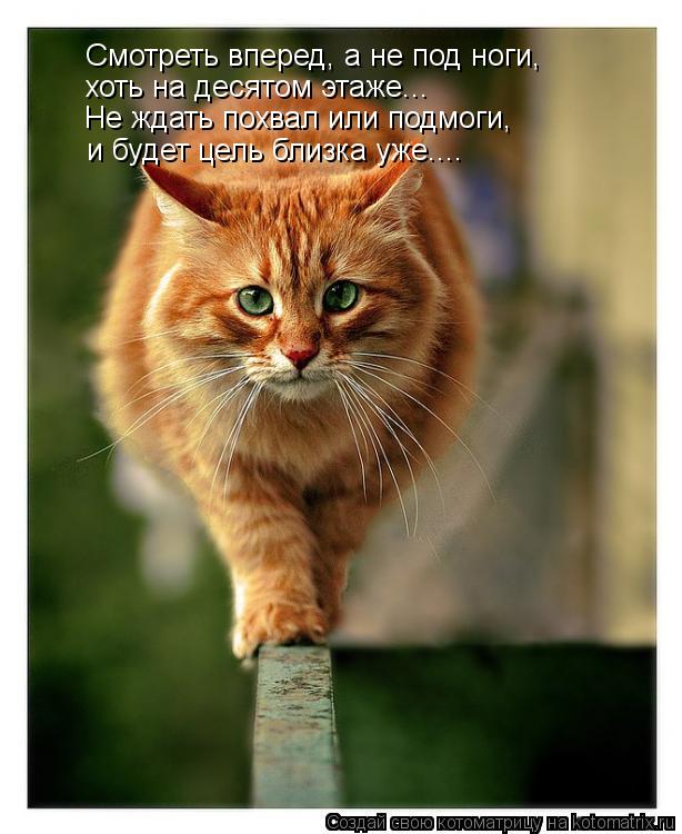 Смотреть вперед, а не под ноги, хоть на десятом этаже... Не ждать похвал или подмоги, и будет цель бл... Котоматрица: Смотреть вперед, а не под ноги, хоть на десятом этаже... Не ждать похвал или подмоги, и будет цель близка уже....