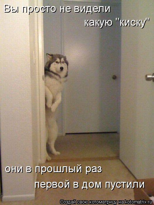 Вы просто не видели какую "киску" они в прошлый раз первой в дом пустили... Котоматрица: Вы просто не видели какую "киску" они в прошлый раз первой в дом пустили