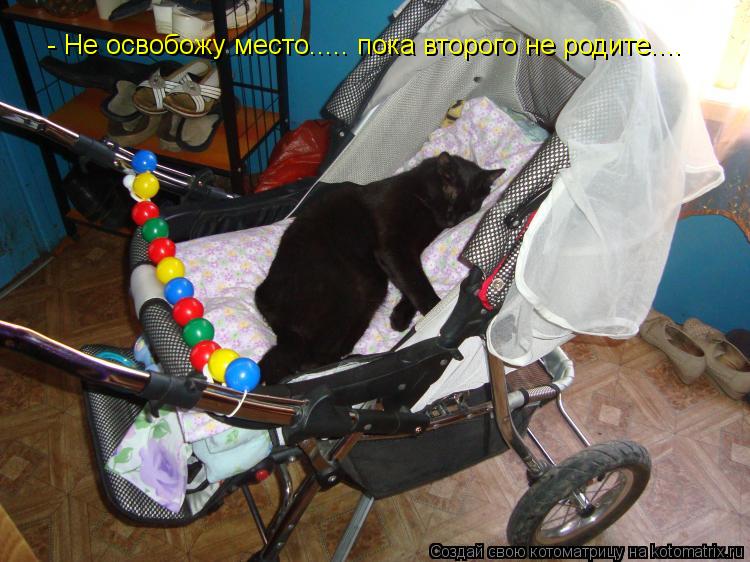 - Не освобожу место..... пока второго не родите....... Котоматрица: - Не освобожу место..... пока второго не родите....