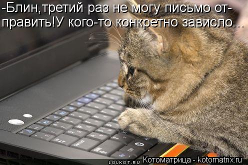 -Блин,третий раз не могу письмо от- править!У кого-то конкретно зависло...... Котоматрица: -Блин,третий раз не могу письмо от- править!У кого-то конкретно зависло...