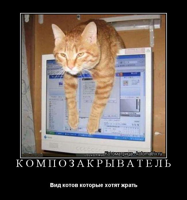 КОМПОЗАКРЫВАТЕЛЬ Вид котов которые хотят жрать... Котоматрица: КОМПОЗАКРЫВАТЕЛЬ Вид котов которые хотят жрать