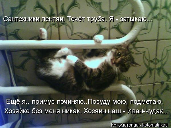 Сантехники лентяи. Течёт труба. Я - затыкаю... Ещё я.. примус починяю..Посуду мою, подметаю. Хозяйке... Котоматрица: Сантехники лентяи. Течёт труба. Я - затыкаю... Ещё я.. примус починяю..Посуду мою, подметаю. Хозяйке без меня никак. Хозяин наш - Иван-чудак..