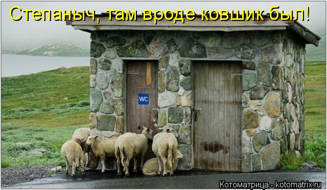 Степаныч, там вроде ковшик был!... Котоматрица: Степаныч, там вроде ковшик был!