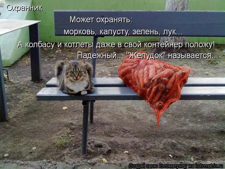 Охранник Может охранять: морковь, капусту, зелень, лук... А колбасу и котлеты даже в свой контейнер п... Котоматрица: Охранник Может охранять: морковь, капусту, зелень, лук... А колбасу и котлеты даже в свой контейнер положу! Надежный... "Желудок" называется...