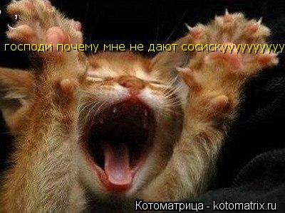 господи почему мне не дают сосискуууууууууууу... Котоматрица: господи почему мне не дают сосискуууууууууууу