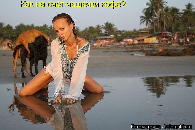 Как на счёт чашечки кофе?... Котоматрица: Как на счёт чашечки кофе?