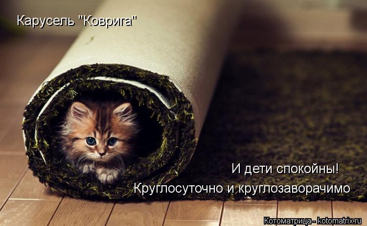 Карусель "Коврига" И дети спокойны! Круглосуточно и круглозаворачимо... Котоматрица: Карусель "Коврига" И дети спокойны! Круглосуточно и круглозаворачимо