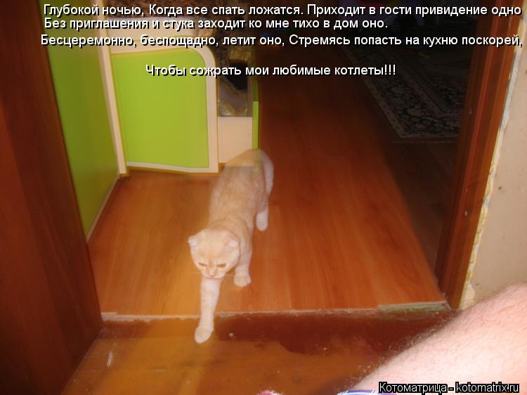 Бесцеремонно, беспощадно, летит оно, Стремясь попасть на кухню поскорей, Чтобы сожрать мои любимые ко... Котоматрица: Бесцеремонно, беспощадно, летит оно, Стремясь попасть на кухню поскорей, Чтобы сожрать мои любимые котлеты!!! Глубокой ночью, Когда все спат