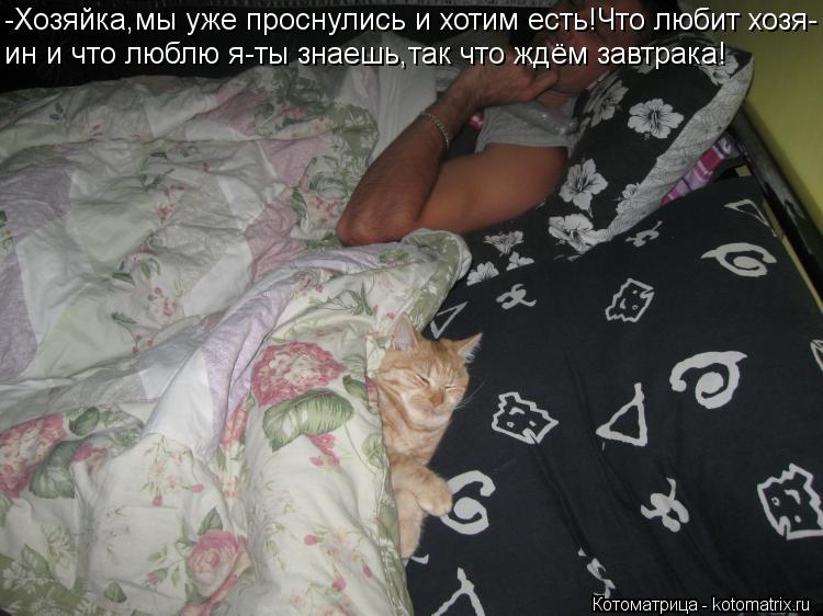 -Хозяйка,мы уже проснулись и хотим есть!Что любит хозя- ин и что люблю я-ты знаешь,так что ждём завтр... Котоматрица: -Хозяйка,мы уже проснулись и хотим есть!Что любит хозя- ин и что люблю я-ты знаешь,так что ждём завтрака!
