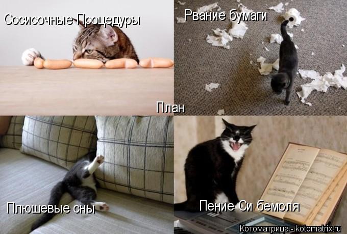 Рвание бумаги Плюшевые сны План Сосисочные Процедуры Пение Си бемоля... Котоматрица: Рвание бумаги Плюшевые сны План Сосисочные Процедуры Пение Си бемоля
