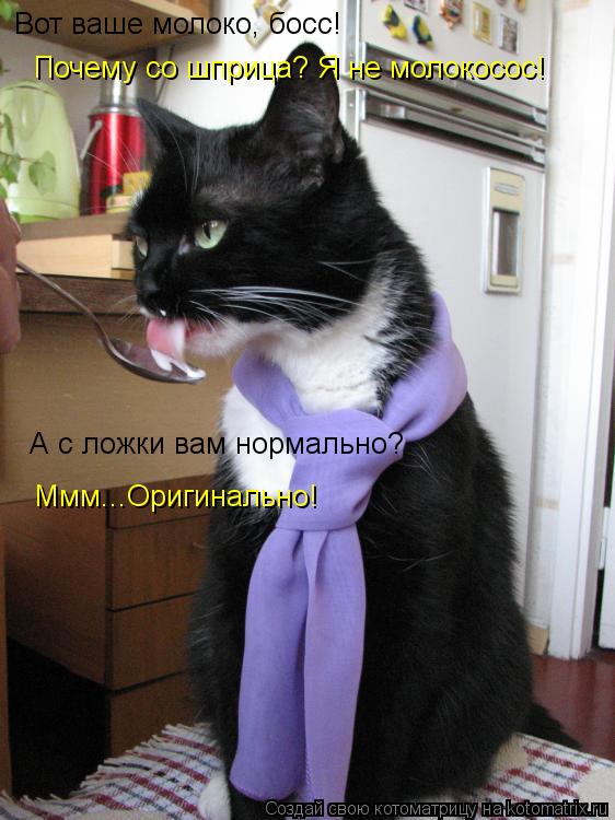 Вот ваше молоко, босс! Почему со шприца? Я не молокосос! А с ложки вам нормально? Ммм...Оригинально!... Котоматрица: Вот ваше молоко, босс! Почему со шприца? Я не молокосос! А с ложки вам нормально? Ммм...Оригинально!