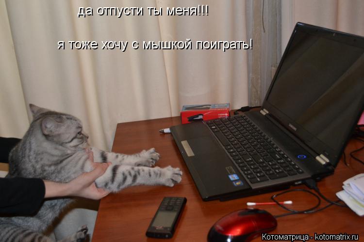 я тоже хочу с мышкой поиграть! да отпусти ты меня!!!... Котоматрица: я тоже хочу с мышкой поиграть! да отпусти ты меня!!!
