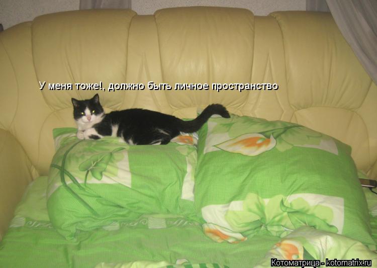 У меня тоже!, должно быть личное пространство... Котоматрица: У меня тоже!, должно быть личное пространство
