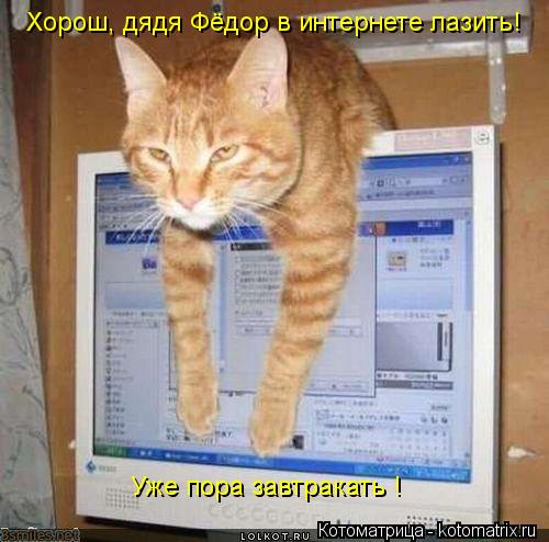 Котоматрица: Хорош, дядя Фёдор в интернете лазить! Уже пора завтракать !