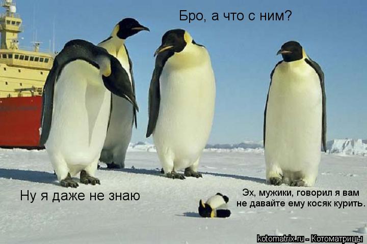 Бро, а что с ним? Эх, мужики, говорил я вам не давайте ему косяк курить. Ну я даже не знаю... Котоматрица: Бро, а что с ним? Эх, мужики, говорил я вам не давайте ему косяк курить. Ну я даже не знаю