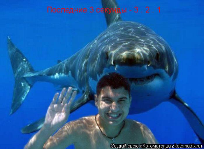 Последние 3 секунды - 3 . 2 . 1... Котоматрица: Последние 3 секунды - 3 . 2 . 1