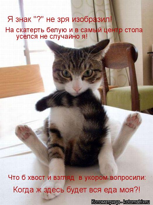 Я знак "?" не зря изобразил! На скатерть белую и в самый центр стола уселся не случайно я! Что б хво... Котоматрица: Я знак "?" не зря изобразил! На скатерть белую и в самый центр стола уселся не случайно я! Что б хвост и взгляд в укором вопросили: Когда ж зде