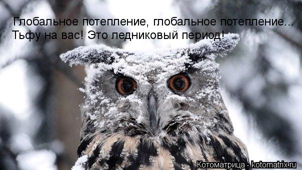 Глобальное потепление, глобальное потепление... Тьфу на вас! Это ледниковый период!... Котоматрица: Глобальное потепление, глобальное потепление... Тьфу на вас! Это ледниковый период!