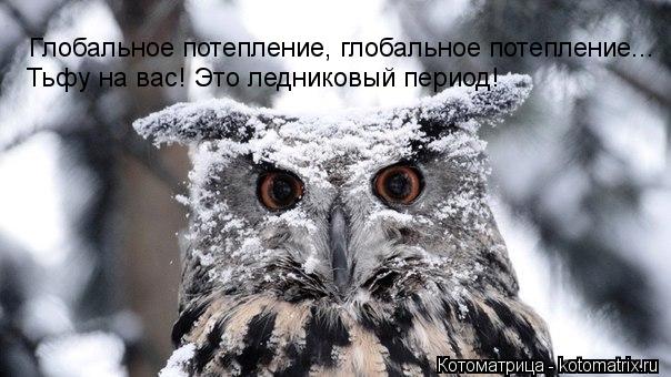 Котоматрица: Глобальное потепление, глобальное потепление... Тьфу на вас! Это ледниковый период!