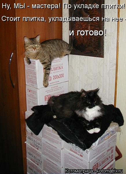 Ну, МЫ - мастера! По укладке плитки! Стоит плитка, укладываешься на нее - и готово!... Котоматрица: Ну, МЫ - мастера! По укладке плитки! Стоит плитка, укладываешься на нее - и готово!
