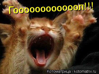 Гоооооооооооол Гоооооооооооол Гоооооооооооол!!!... Котоматрица: Гоооооооооооол Гоооооооооооол Гоооооооооооол!!!