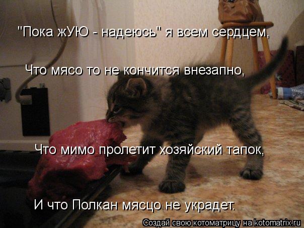 "Пока жУЮ - надеюсь" я всем сердцем, Что мясо то не кончится внезапно, Что мимо пролетит хозяйский та... Котоматрица: "Пока жУЮ - надеюсь" я всем сердцем, Что мясо то не кончится внезапно, Что мимо пролетит хозяйский тапок, И что Полкан мясцо не украдет.