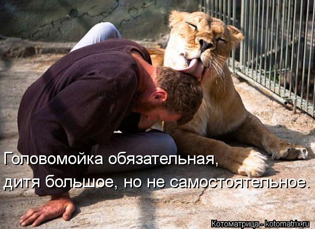 Головомойка обязательная, дитя большое, но не самостоятельное.... Котоматрица: Головомойка обязательная, дитя большое, но не самостоятельное.