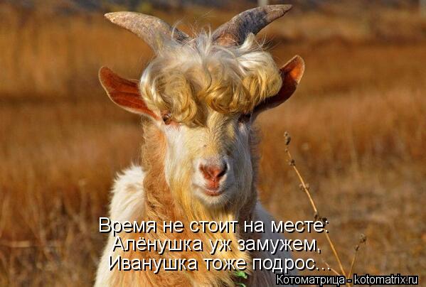 Время не стоит на месте: Алёнушка уж замужем, Иванушка тоже подрос...... Котоматрица: Время не стоит на месте: Алёнушка уж замужем, Иванушка тоже подрос...