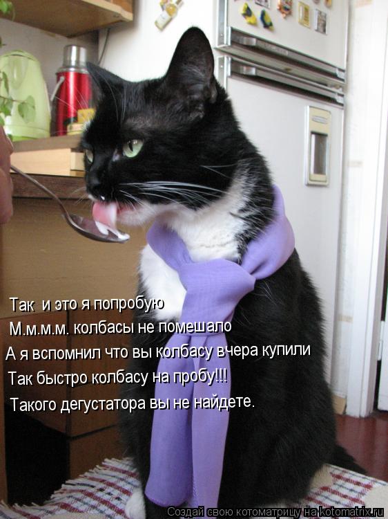 Так и это я попробую М.м.м.м. колбасы не помешало А я вспомнил что вы колбасу вчера купили Так быстр... Котоматрица: Так и это я попробую М.м.м.м. колбасы не помешало А я вспомнил что вы колбасу вчера купили Так быстро колбасу на пробу!!! Такого дегустатора в