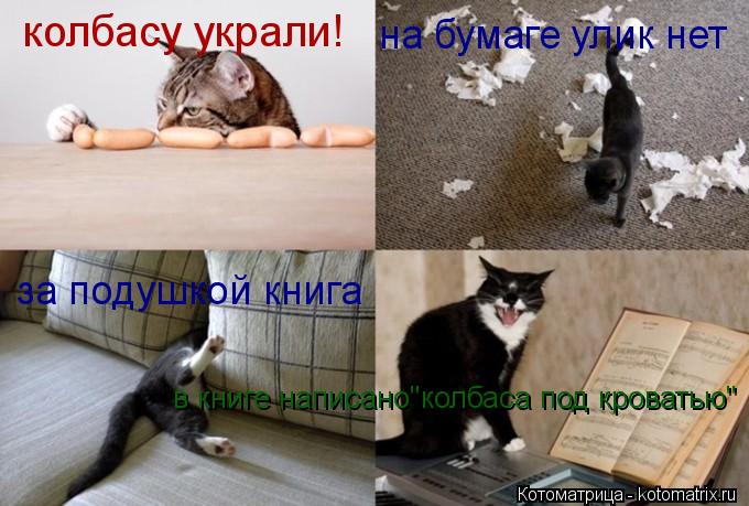 колбасу украли! на бумаге улик нет за подушкой книга в книге написано в книге написано"колбаса под кр... Котоматрица: колбасу украли! на бумаге улик нет за подушкой книга в книге написано в книге написано"колбаса под кроватью"