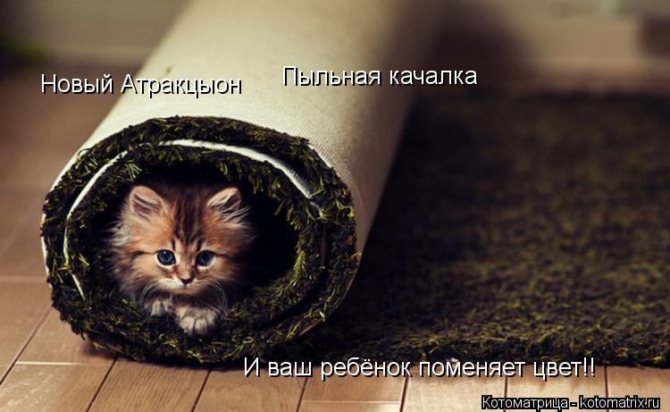 Новый Атракцыон Пыльная качалка И ваш ребёнок поменяет цвет!!... Котоматрица: Новый Атракцыон Пыльная качалка И ваш ребёнок поменяет цвет!!