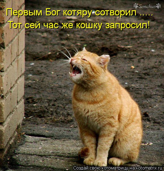 Первым Бог котяру сотворил ..... Тот сей час же кошку запросил!... Котоматрица: Первым Бог котяру сотворил ..... Тот сей час же кошку запросил!