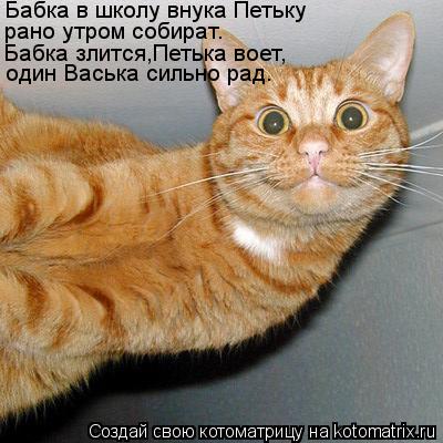 Бабка в школу внука Петьку рано утром собират. Бабка злится,Петька воет, один Васька сильно рад.... Котоматрица: Бабка в школу внука Петьку рано утром собират. Бабка злится,Петька воет, один Васька сильно рад.