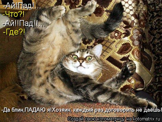 -Ай!Пад!... -Что?! -Ай!!Пад!!... -Где?! -Да блин,ПАДАЮ я!Хозяин, каждый раз договорить не даёшь!... Котоматрица: -Ай!Пад!... -Что?! -Ай!!Пад!!... -Где?! -Да блин,ПАДАЮ я!Хозяин, каждый раз договорить не даёшь!
