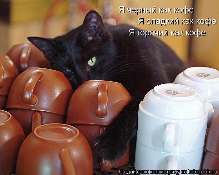 Котоматрица: Я черный как кофе   Я сладкий как кофе   Я горячий как кофе