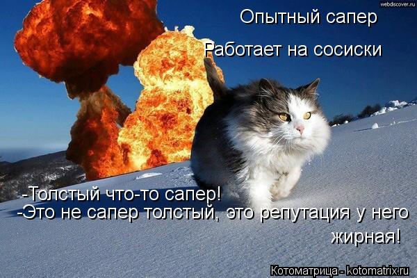Опытный сапер Работает на сосиски -Толстый что-то сапер! -Это не сапер толстый, это репутация у него ... Котоматрица: Опытный сапер Работает на сосиски -Толстый что-то сапер! -Это не сапер толстый, это репутация у него жирная!