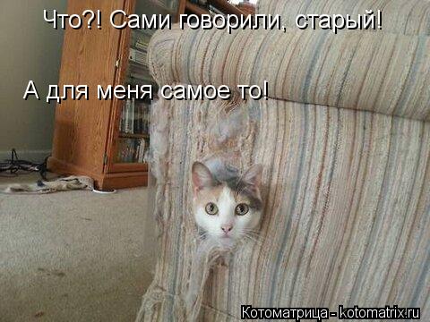 Что?! Сами говорили, старый! А для меня самое то!... Котоматрица: Что?! Сами говорили, старый! А для меня самое то!