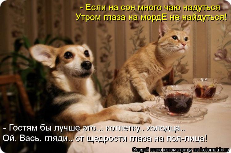 - Если на сон много чаю надуться Утром глаза на мордЕ не найдуться! - Гостям бы лучше это... котлетку... Котоматрица: - Если на сон много чаю надуться Утром глаза на мордЕ не найдуться! - Гостям бы лучше это... котлетку.. холодца.. Ой, Вась, гляди.. от щедрости гла
